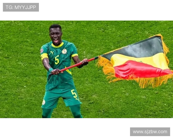 盖耶批非洲杯改判决定太荒谬 盖耶批非洲杯改判决定太荒谬